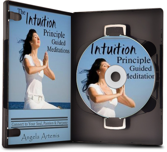 Intuition Principle Guided Meditations - 14 Exercises to Connect to Your Soul, Passion and Purpose