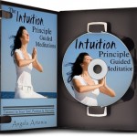 The Intuition Principle Guided Meditations: Connect to Your Soul, Passion & Purpose