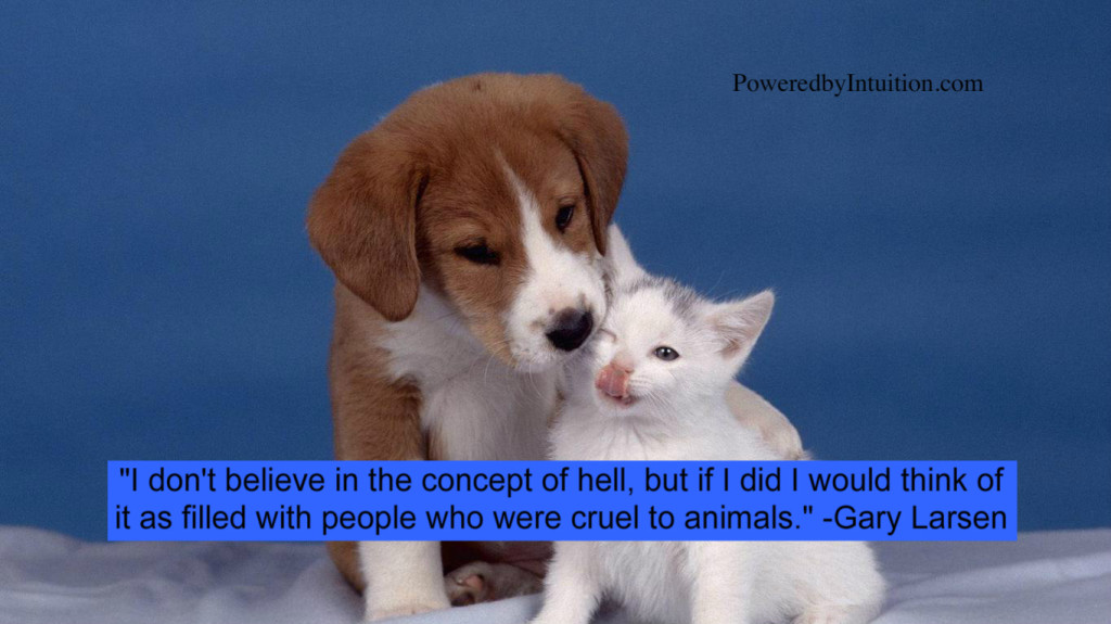 Pet Communication: What is Your Pet Thinking? (Plus a Giveaway!)